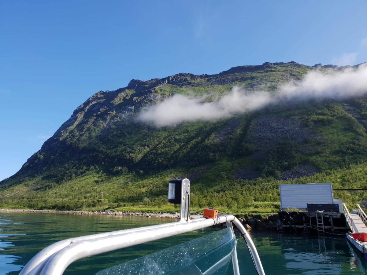 Northern Light Hotell/Camp Steinfjord Berg  Ngoại thất bức ảnh