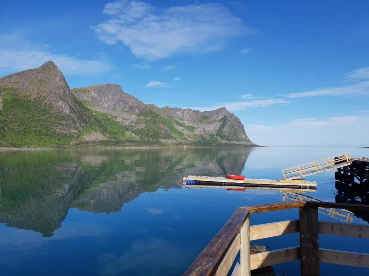 Northern Light Hotell/Camp Steinfjord Berg  Ngoại thất bức ảnh