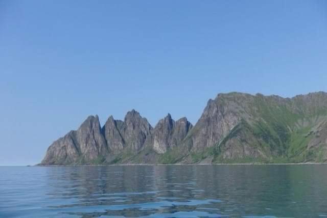 Northern Light Hotell/Camp Steinfjord Berg  Ngoại thất bức ảnh