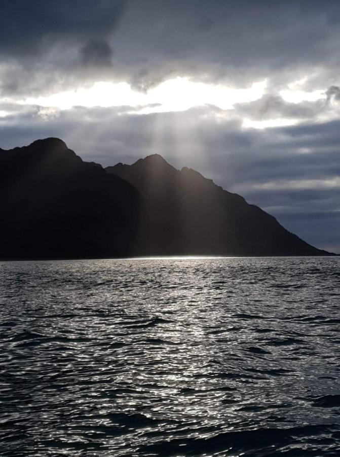 Northern Light Hotell/Camp Steinfjord Berg  Ngoại thất bức ảnh