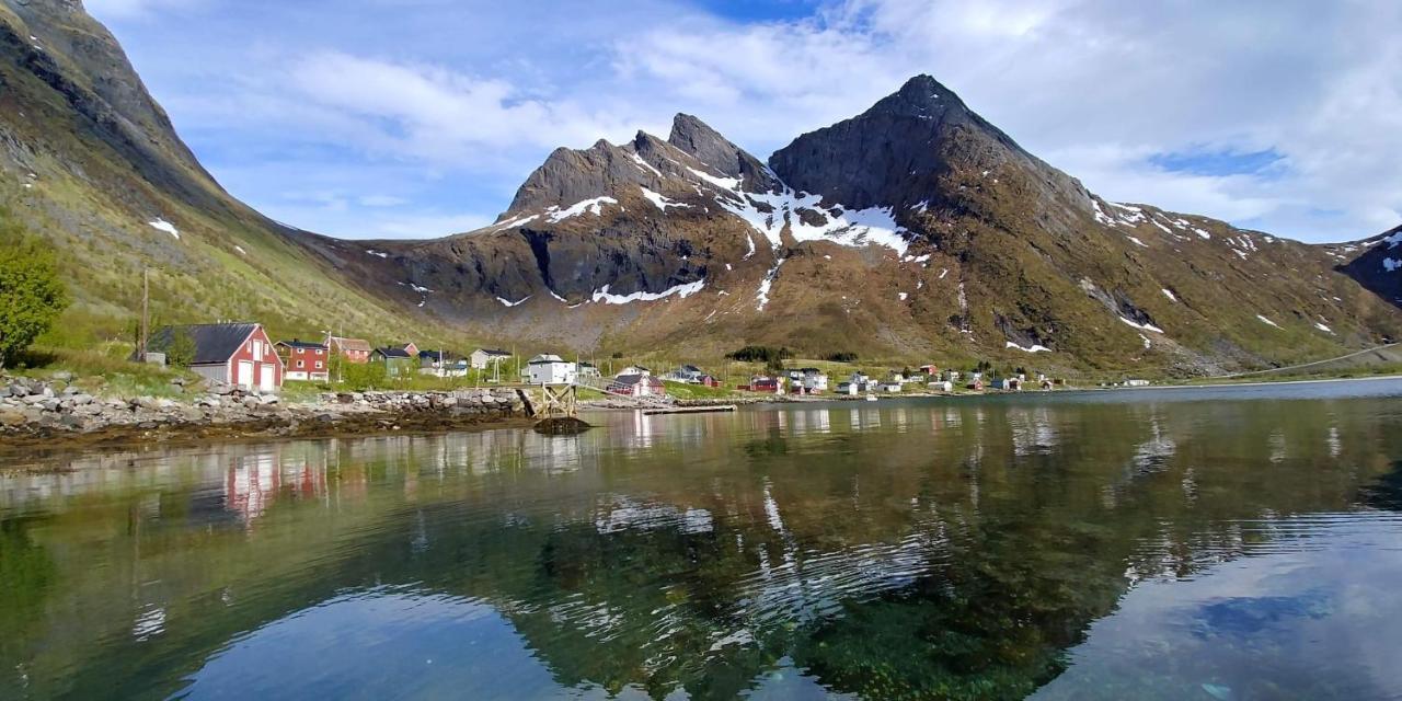 Northern Light Hotell/Camp Steinfjord Berg  Ngoại thất bức ảnh