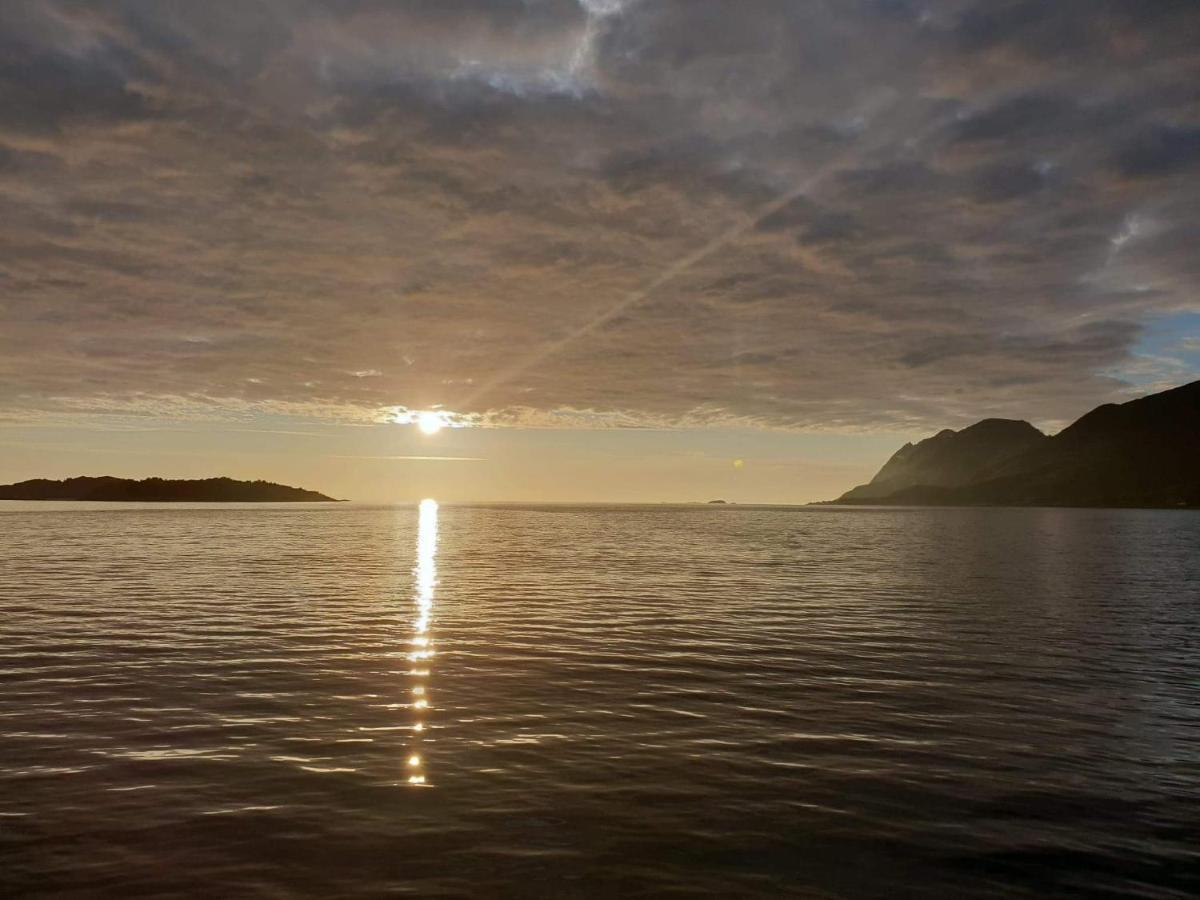 Northern Light Hotell/Camp Steinfjord Berg  Ngoại thất bức ảnh